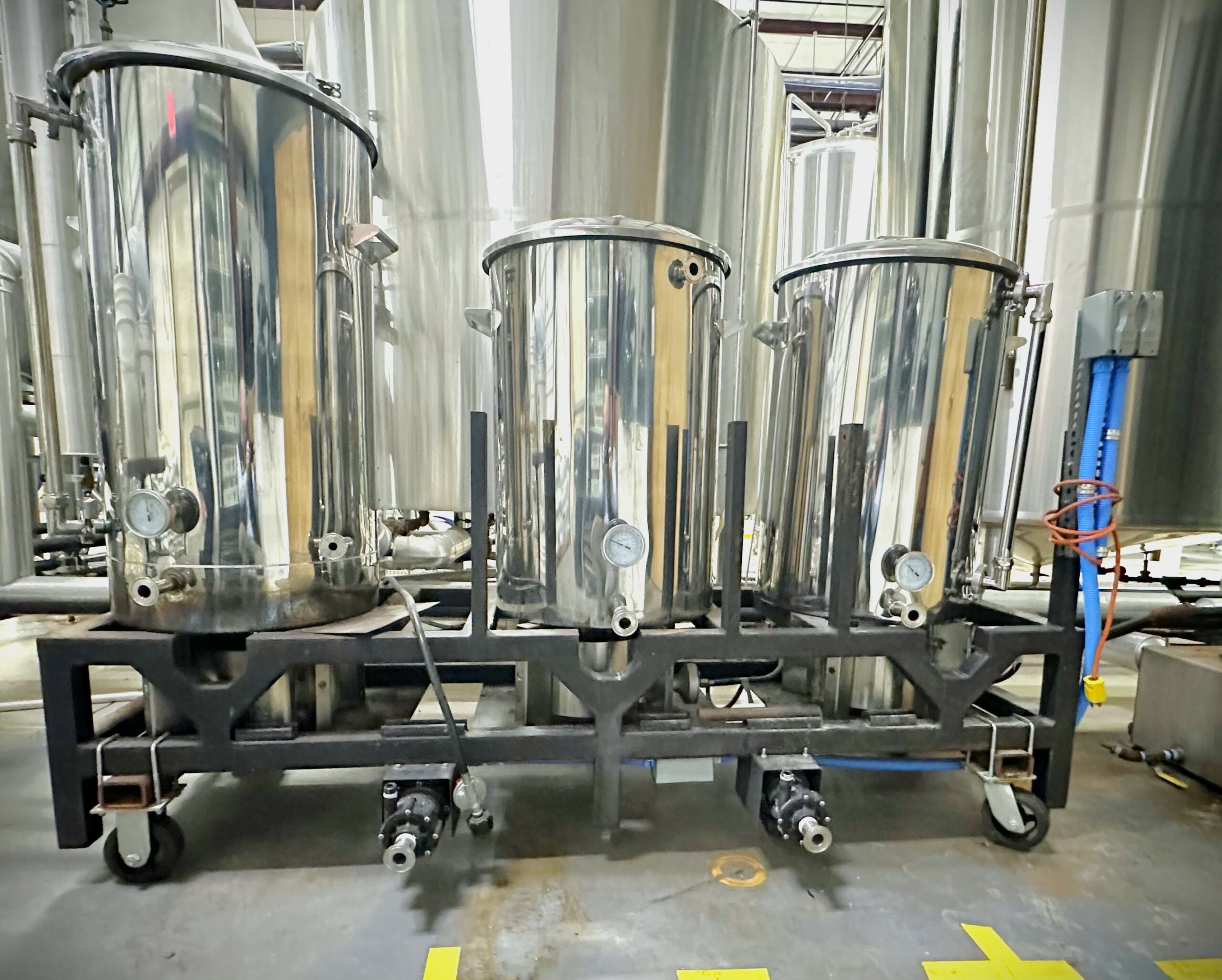 Stout Brewing System and Cellar